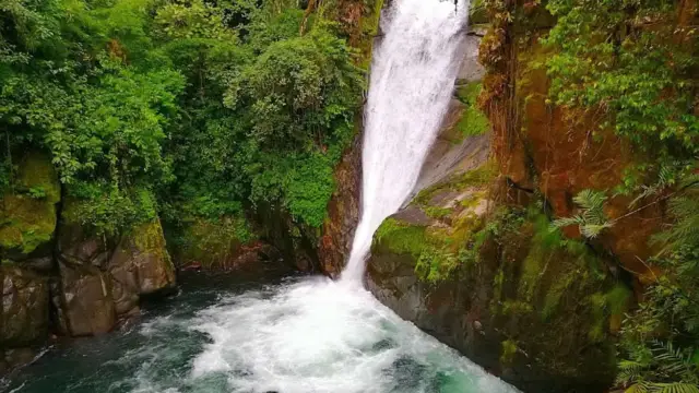 Cascade Pacifica à proximité de la réserve Cloudbridge au Costa Rica