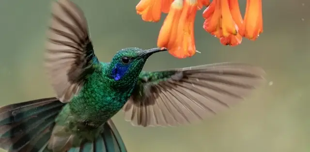 La charte du voyageur responsable au Costa Rica