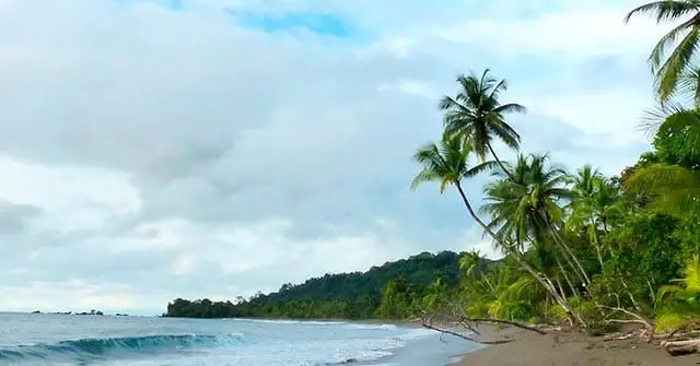 Plage des Caraïbes sud