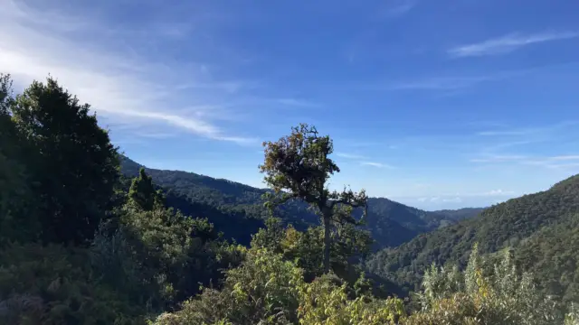 Vue sur la vallée de Dota depuis l'hôtel Dantica