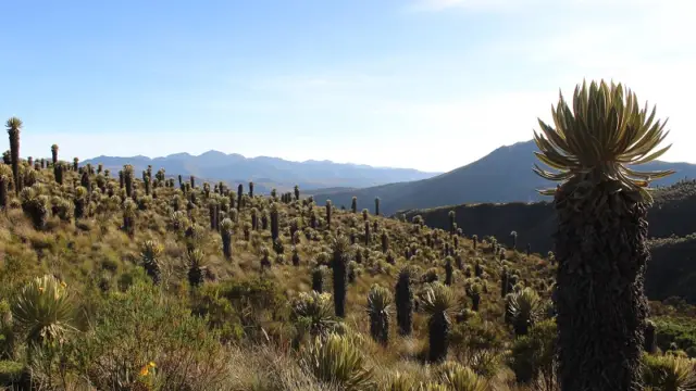 Paysage de la région de Mongui