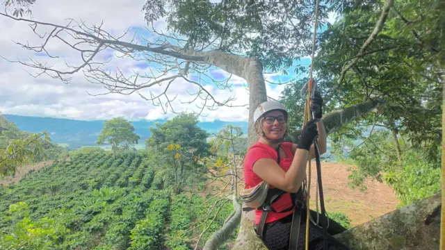 Activité escalade d'arbre à Hacienda Monteclaro, Turrialba