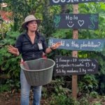 Tour de café Costa Rica