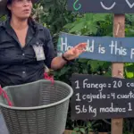 Tour de café Costa Rica