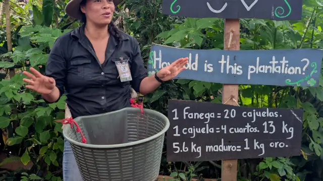 Tour de café Costa Rica