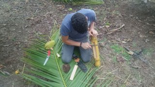 Equipe de Terra Caribea