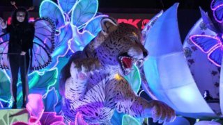 Défilé du festival des lumières de 2020 à San José au Costa Rica