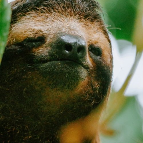 L’Essence du Costa Rica, Hors Saison