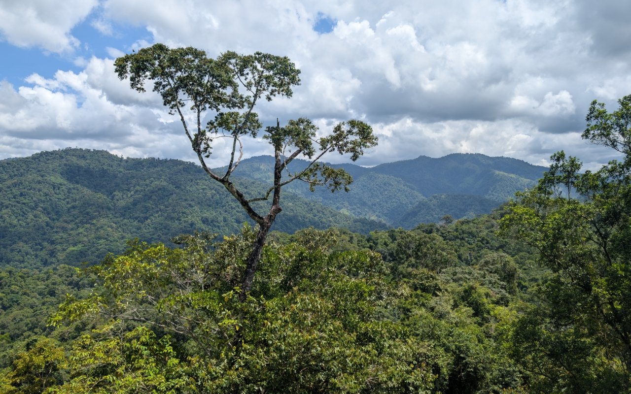 Finca ecologique Costa Rica