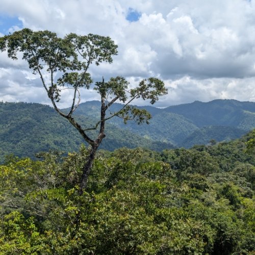 Travelife Certified : Un pas de plus vers un tourisme responsable