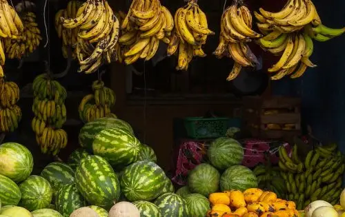 Tout savoir sur les fruits tropicaux du Costa Rica