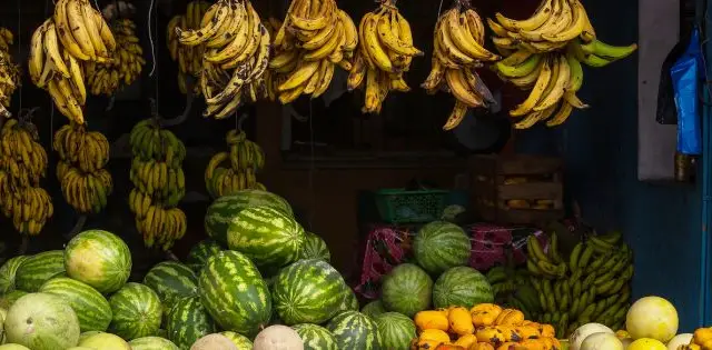 Tout savoir sur les fruits tropicaux du Costa Rica