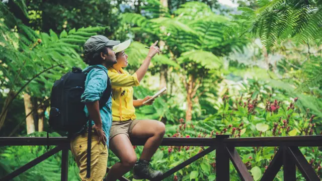 voyage en petit groupe nature costa rica 
