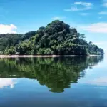 Berges du Golfo Dulce