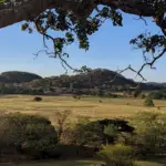 Paysage de plaine du Guanacaste durant la saison sèche