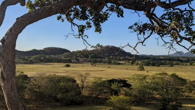 Paysage de plaine du Guanacaste durant la saison sèche