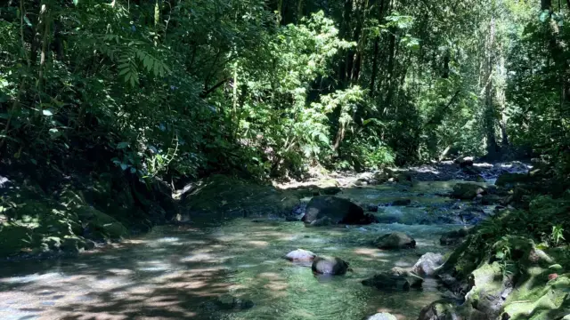 Rivière sur la propriété de Hacienda Las Vainillas à Mastatal