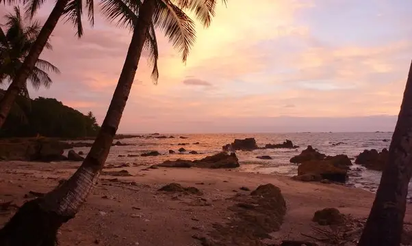 île Montuosa Panama - snorkeling