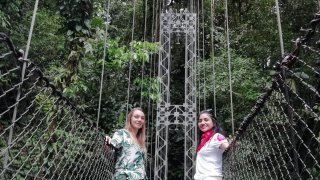 Equipe de Terra Caribea