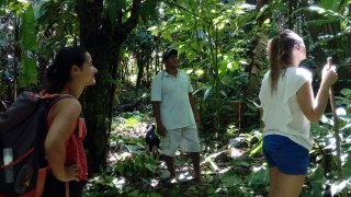 Equipe de Terra Caribea