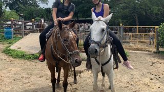 Equipe de Terra Caribea