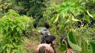 Equipe de Terra Caribea