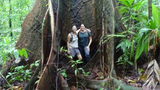 Equipe de Terra Caribea