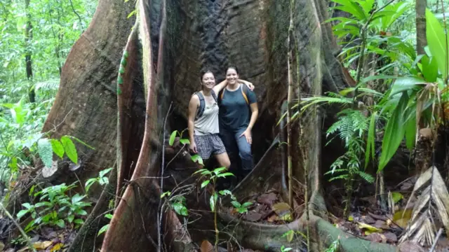 Equipe de Terra Caribea