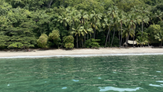 playa vivos, plage costa rica