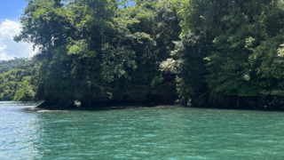 Golfo dulce