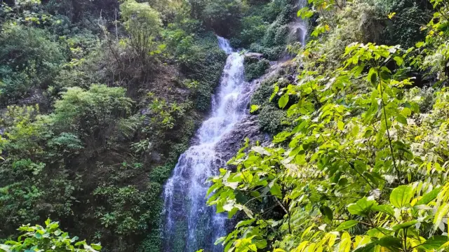 Cascade El Tigre dans la région de Monteverde
