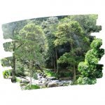 Les cordillères du Sud
