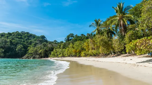 Plage des cotes Caraibes