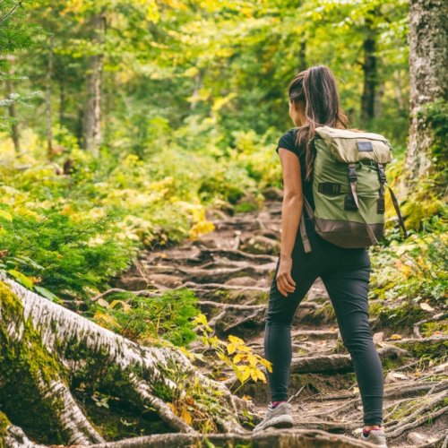 Camino de Costa Rica : une expérience authentique à la rencontre des locaux