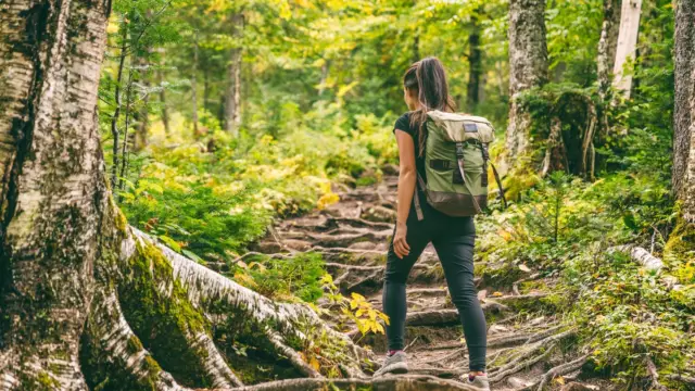 Camino de Costa Rica : une expérience authentique à la rencontre des locaux