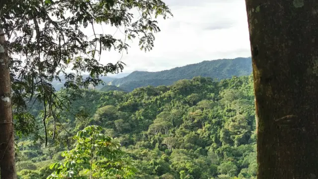 Paysage de la forêt tropical sèche au sein de la réserve Karen Mogensen au sud de la Péninsule de Nicoya au Costa Rica