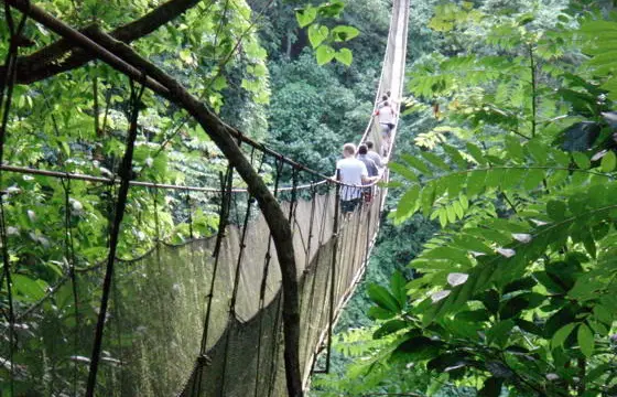 los campesinos costa rica