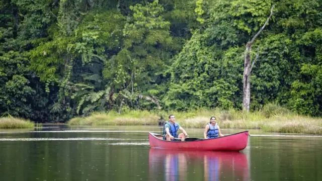 Le Maquenque Eco Lodge, notre coup de cœur pour une immersion en forêt