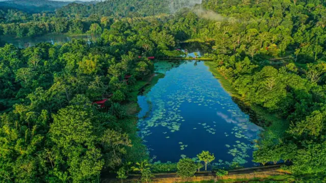 Le Maquenque Eco Lodge, notre coup de cœur pour une immersion en forêt