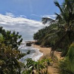 Parc national de Manzanillo sur la cote Caraïbe du Costa Rica