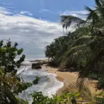 Parc national de Manzanillo sur la cote Caraïbe du Costa Rica