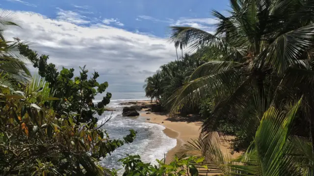 Parc national de Manzanillo sur la cote Caraïbe du Costa Rica