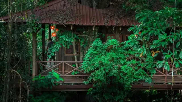 Cabane dans les arbres, hébergement atypique du Costa Rica