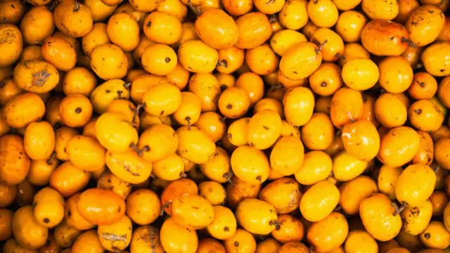 Maracuya