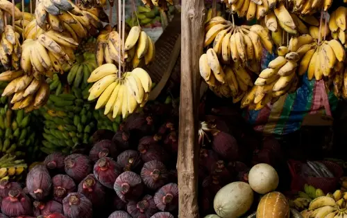 <b>Le Mercado Central,</b> <br> Marché & culture populaire du Costa Rica