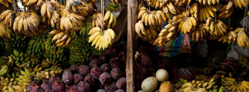 Mercado central san josé