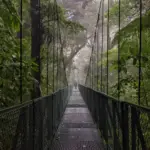 Pont suspendu de la forêt de nuage à Monteverde, au Costa Rica