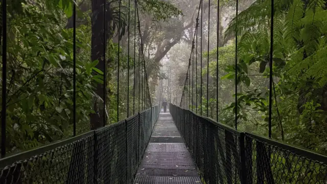 Pont suspendu de la forêt de nuage à Monteverde, au Costa Rica