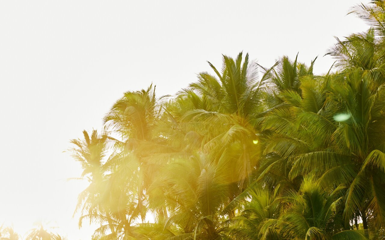 couché du soleil - costa rica