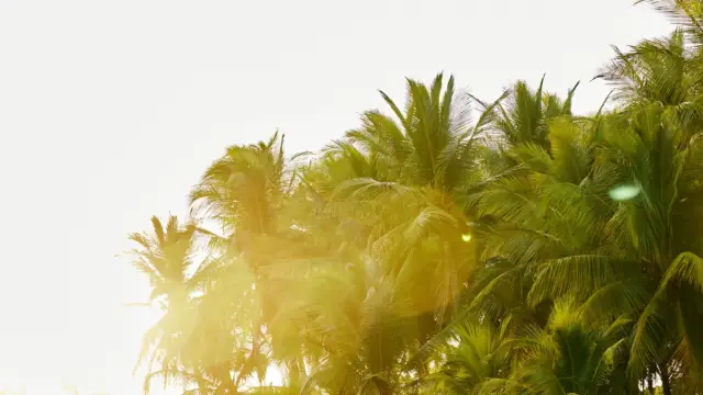 couché du soleil - costa rica 